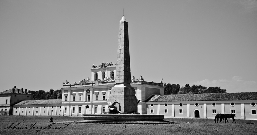 Reggia di Carditello: storia di bellezza, decadenza e futura rinascita