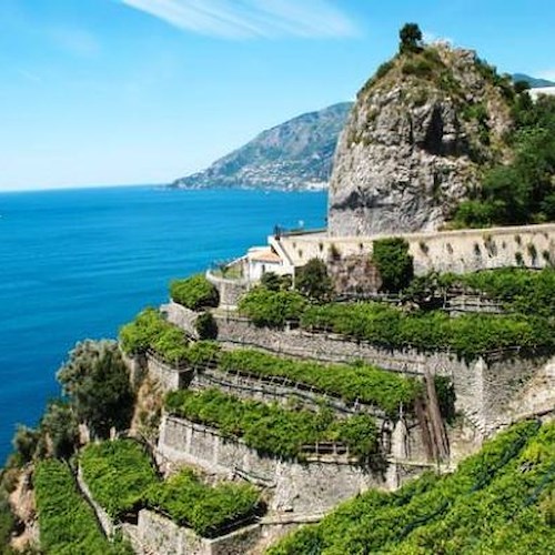 Il miracolo sostenibile della Costiera Amalfitana: quando l’agricoltura è Patrimonio Globale